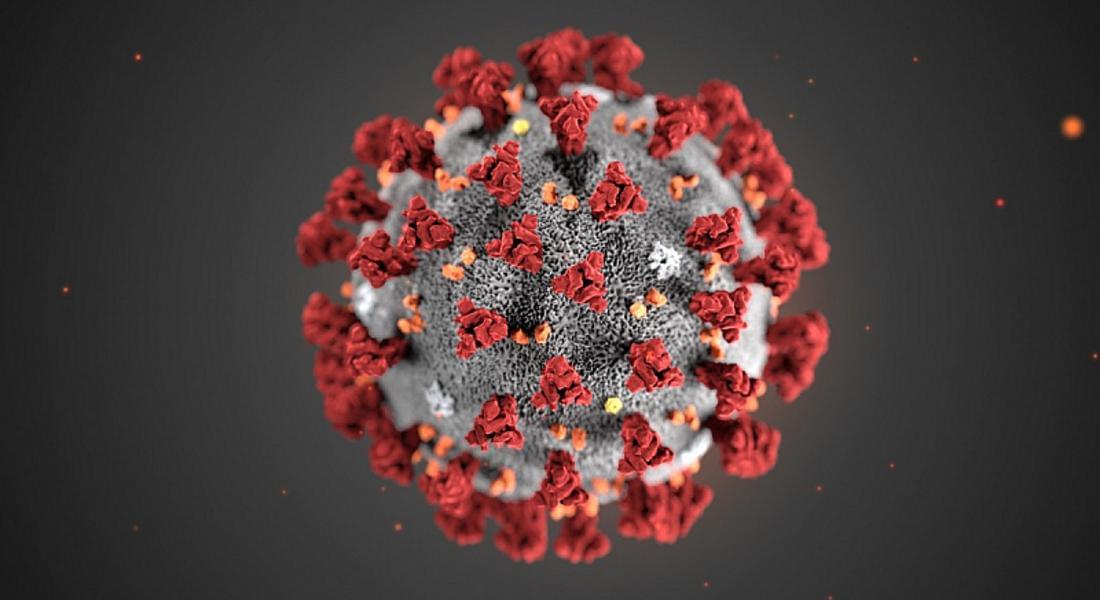  Откриха нов щам на коронавируса във Франция
