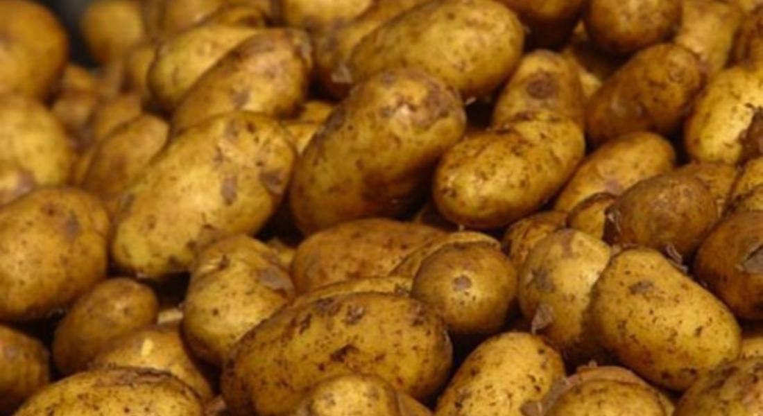 В Чепеларе ще се проведе празник на картофа
