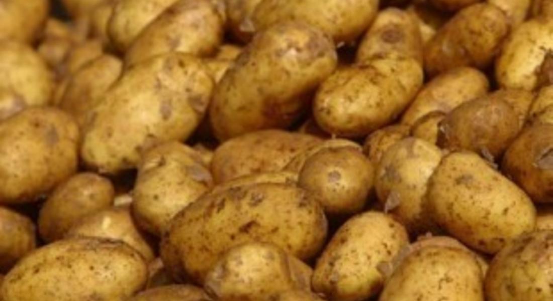 5 млн.лв. са средствата за подпомагане на картофопроизводителите през 2012 г.