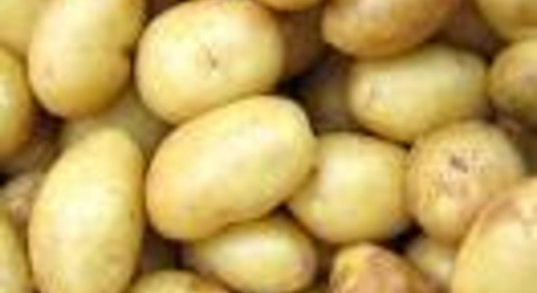 Картофите скочиха с 60 на сто