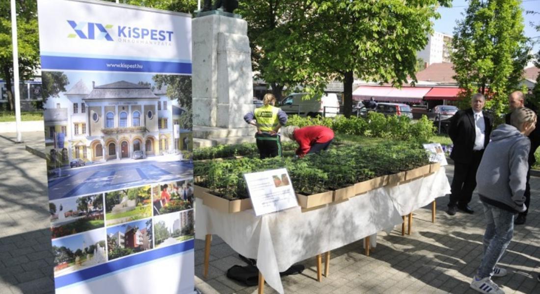  Български сортове домати в Кишпещ, семената бяха избрани от зам.-кмета инж.Мариана Цекова