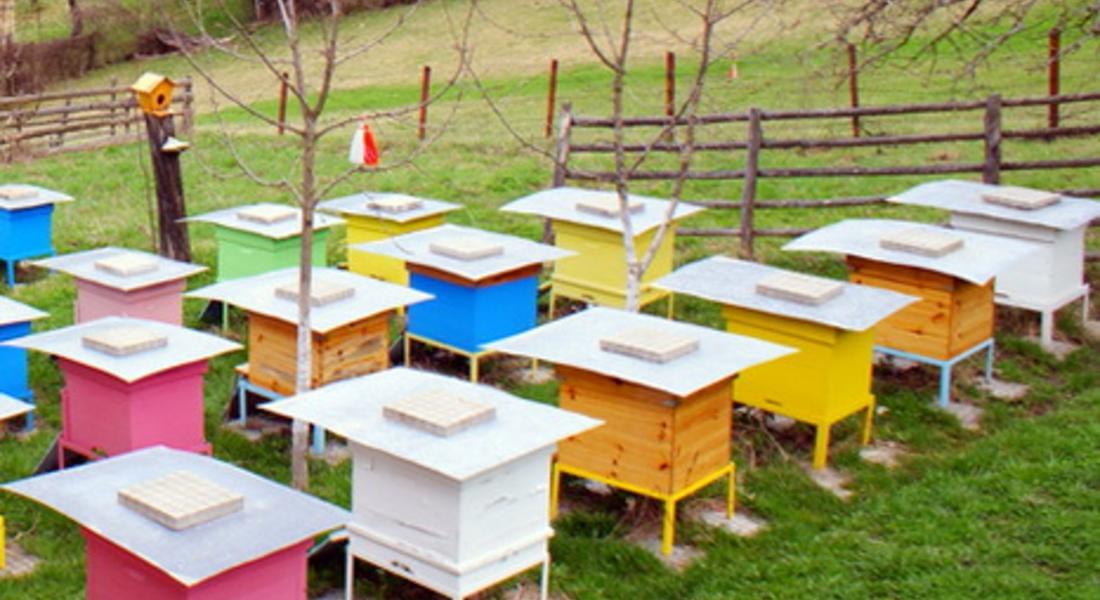 Откраднаха 4 кошера с пчели от местност край с.Хвойна