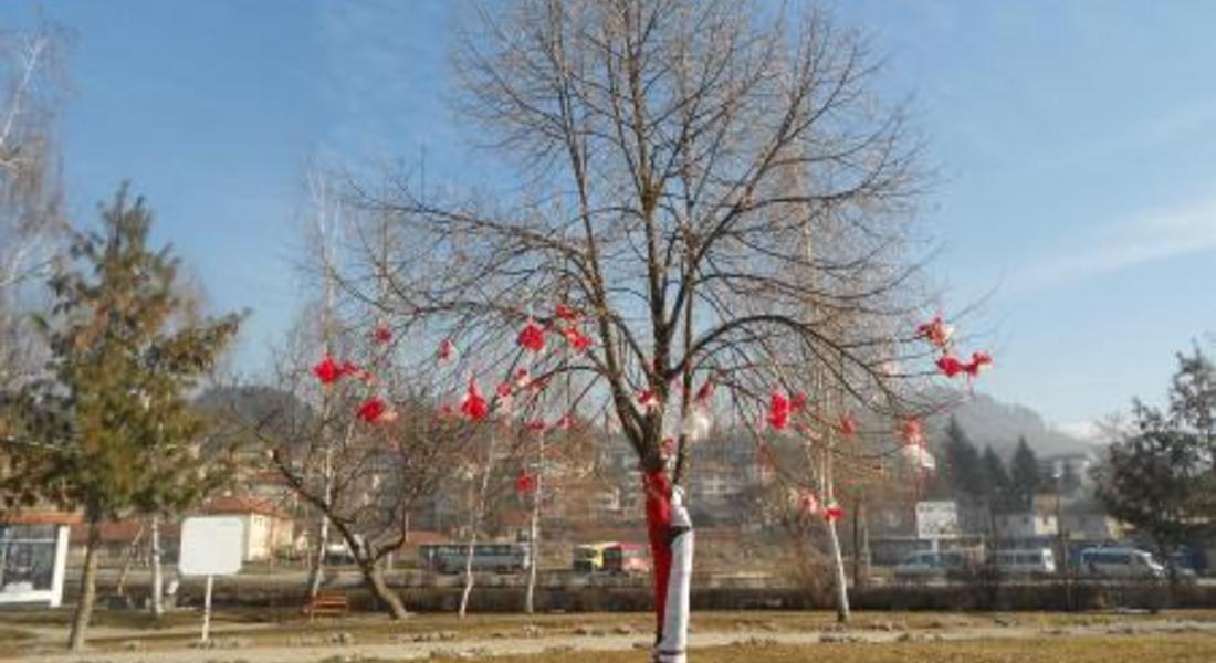 И Златоград се включи в международната инициатива "Дърво Мартеница"