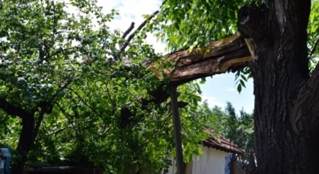 Дърво падна върху покрива на къща в Смолян