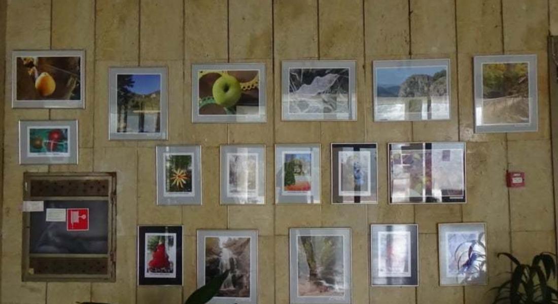 Изложба на фотоклуб „Светлопис” в библиотеката