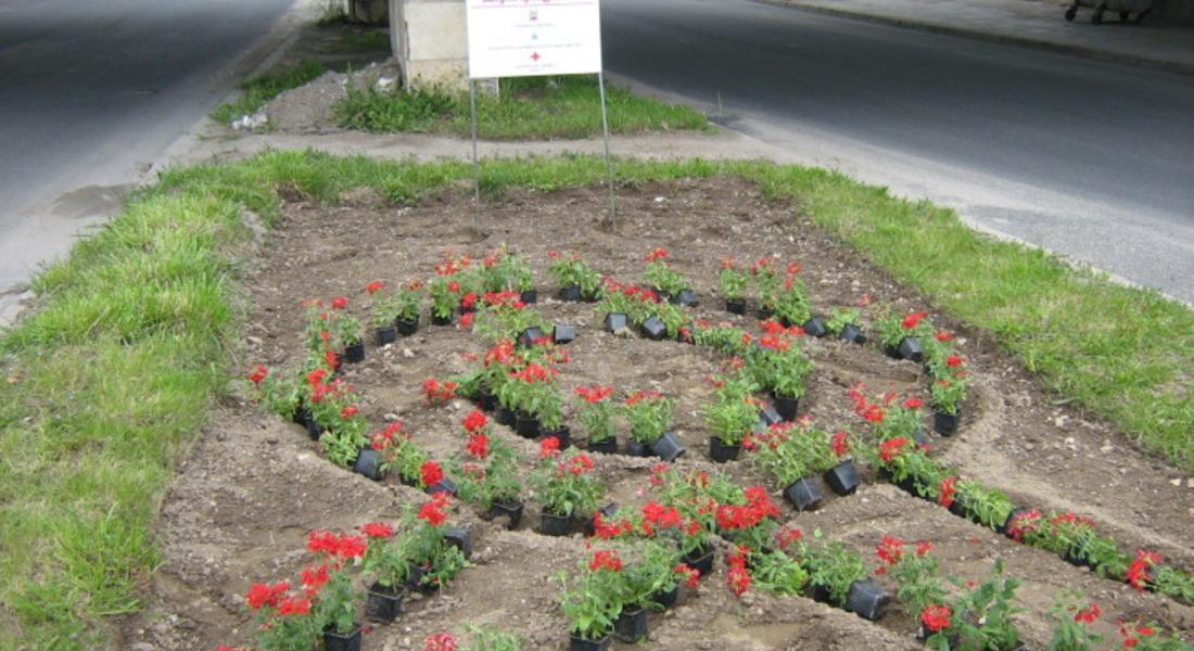 Деца от Смолян посадиха цветя в памет на жертвите от СПИН