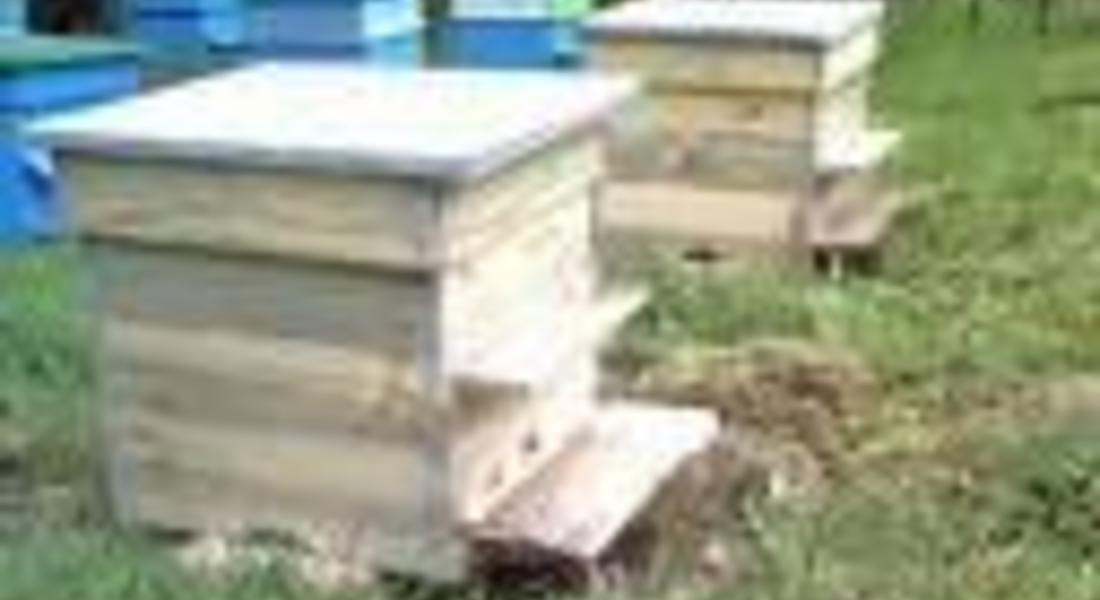   Пчеларско сдружение “Родопска пчела” учредяват в Смолян  