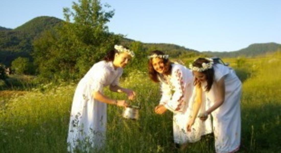 Фестивалът на дивите цветя в Смолянско продължава с ритуали за Еньовден