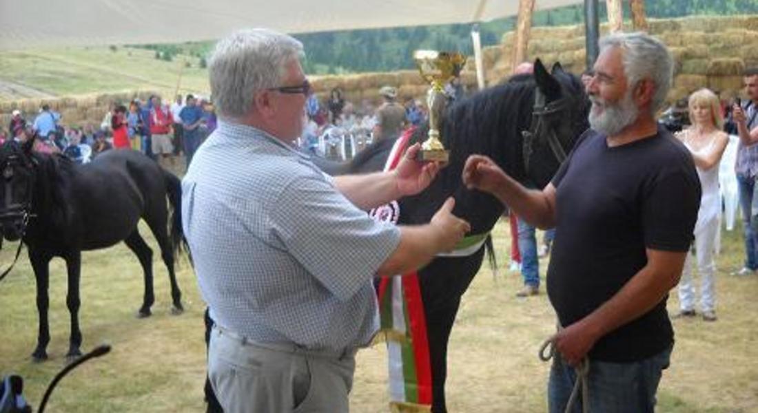 40 животни от уникалната порода Каракачански кон участваха в Национално изложение 