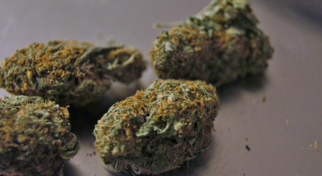 Близо половин килограм марихуана са намерили и иззели полицаи в колата и дома на 45-годишен смолянчанин