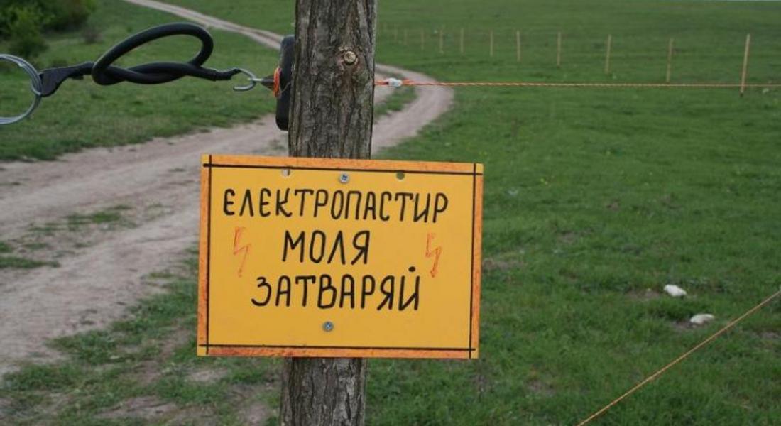 150 електрически огради раздаде РИОСВ – Смолян на животновъди в района