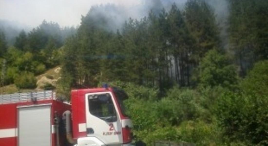 Огнеборците спасиха от пожар 6 сгради и 150 дка смесена гора