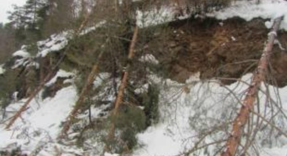  Над 845 хил. кубика е падналата дървесина на територията на Южноцентралното държавно предприятие