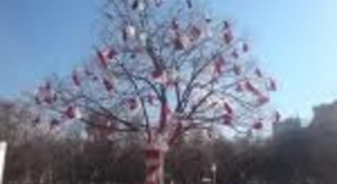 За 1 март дърво става мартеница в Смолян