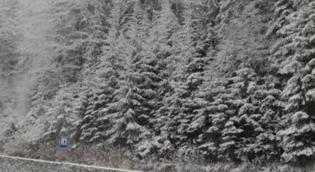 Поледици и сняг по проходите в Смолянско