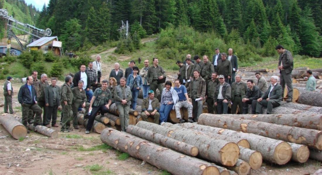 През 2010 г. са отсечени 450 529 куб.м. дървесина 