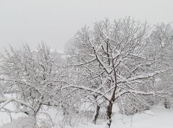 Въвеждат се ограничения за движението в Смолян заради обилния снеговалеж