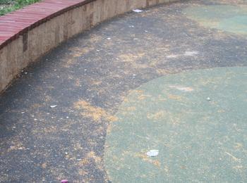 Детската площадка в центъра на Смолян пълна с боклуци, листа и мръсотия