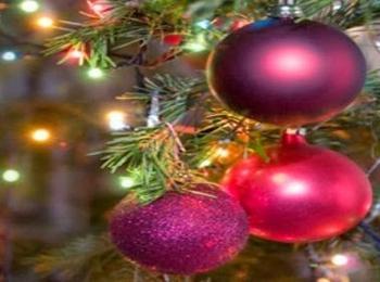 На 9-ти декември ще светне коледната елха в Доспат