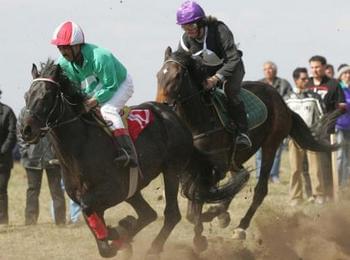 Вместо състезание, конете в Момчиловци ще дефилират