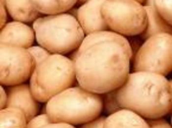 Фонд „Земеделие” изплати над 2 498 300 лева за подпомагане на картофопроизводството 