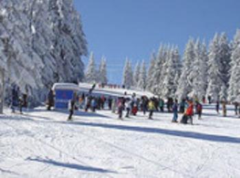 Държавно първенство по ски за ветерани в Чепеларе