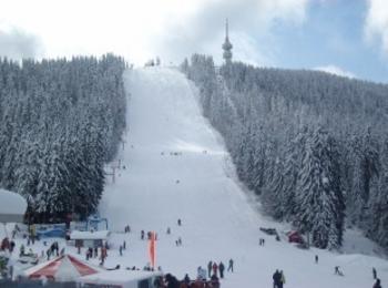 Метални ограждения са откраднати в района на ски-писта "Снежанка"