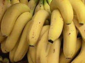 Ядем 160 тона банани на ден по Коледа