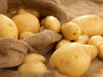 НАП Пловдив конфискува 24 тона картофи