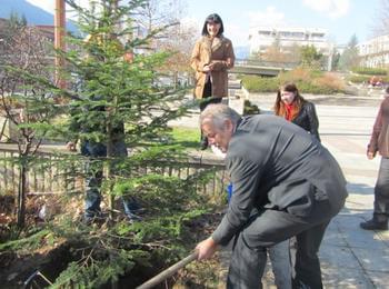 Кметът Мелемов: „Само живи дървета ще украсява община Смолян за коледни елхи”