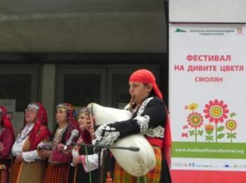  Трето издание на Фестивал на дивите цветя в Родопите ще се състои в края на юни 