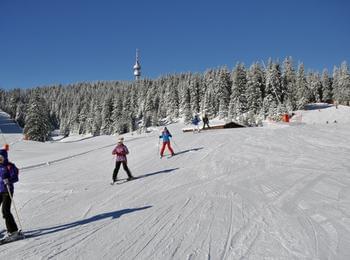 Отлични са условията за ски в Пампорово