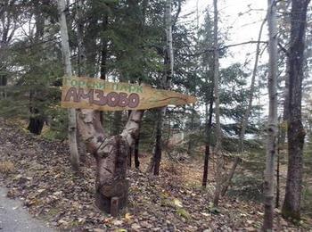 Откриват система за енергийно захранване на горски парк „Амзово“ днес 