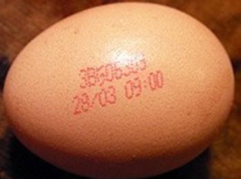 Яйцата ще се продават по 20-25 ст. за Великден
