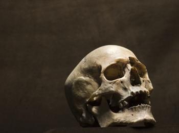 Човешки череп и кости откри 54-годишен мъж в свой имот край с.Средногорци