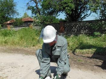 Сътрудници на EVN България в Димитровград спасиха малко щъркелче, паднало от гнездото си