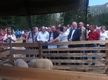 Второ Национално изложение на местните породи овце в Родопите се проведе в Смолян