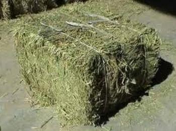 Откраднаха 20 бали сено от селскостопанска постройка край Златоград