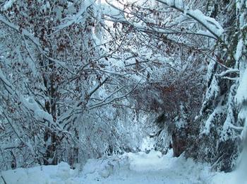  До  40см. достига новата снежна покривка в Смолянско, през планинските проходи само с вериги