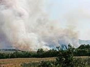 26 пожара в област Смолян през  август