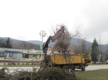Екипи на пожарната отстраняваха опасно надвиснали дървета в Смолян