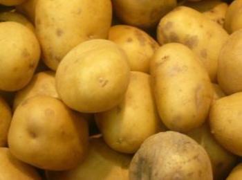 Близо 1000 тона картофи с произход Полша не са допуснати на територията на страната 