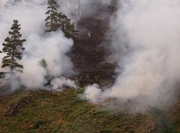 Ликвидиран е пожарът в Златоградско