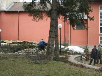 Община Смолян: Собствениците на частни имоти в регулация спешно да  отстранят счупените, изкоренени и надвиснали дървета 
