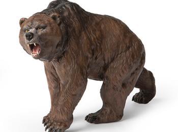 24-ти Международен палеонтологичен симпозиум на тема „Пещерната мечка“ в Чепеларе