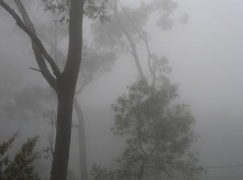  Мъгла в района на Смолян ограничава видимостта
