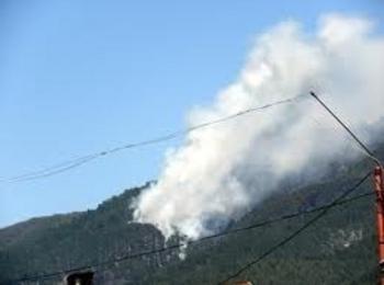 15 дка смесена гора е унищожена при пожар край Грохотно