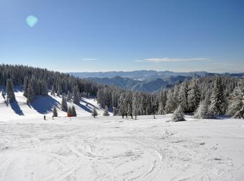 Седем писти са отворени в ски зона Пампорово