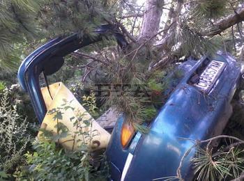 Пиян шофьор без книжка катастрофира в Смолян, приземявайки колата в клоните на дървета 