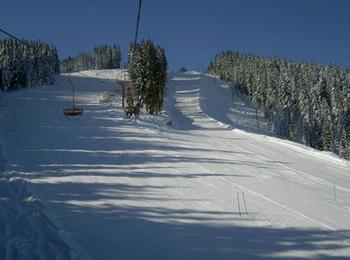  До 50 см достигна снежната покривка на Мечи чал, ски зоната работи